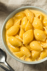 Warm Homemade Macaroni and Cheese Pasta Shells