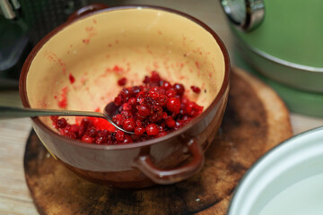 deep bowl filled with sugared lingonberries glistens under soft light, showcasing the vibrant red berries against the white sugar. A silver spoon rests beside, inviting indulgence and warmth
