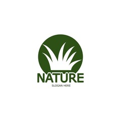Green Grass Logo, Nature Plant. Template Icon Illustration