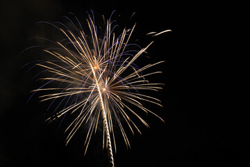 Fireworks display against the night sky.