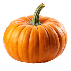 Obraz premium pumpkin isolated on white background