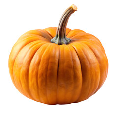 Obraz premium pumpkin isolated on white background