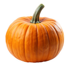 Obraz premium pumpkin isolated on white background