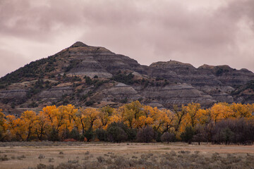 Fototapeta premium Theodore Roosevelt National Park in Fall 5
