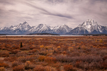 Tetons, GTNP 5