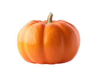 One fresh orange pumpkin isolated on white background