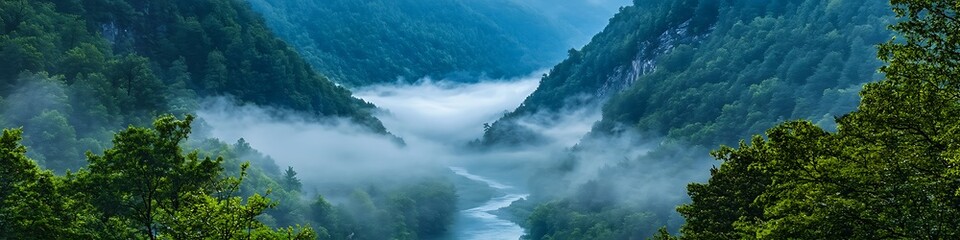 Obraz premium A serene, misty valley with a river winding through and space for text