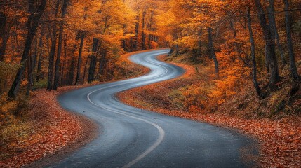 Naklejka premium A winding asphalt road through an autumn forest with vibrant fall foliage.