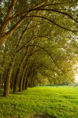 Picturesque Landscape of Rural Moldova. Idyllic Countryside Landscape in Republic of Moldova. Rolling Hills and Farmland in Europe.