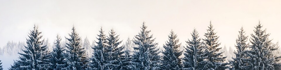 Obraz premium A serene snowy forest with tall pines and a clear sky for text