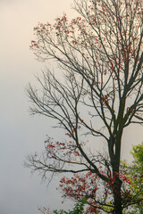 Picturesque Landscape of Rural Moldova. Idyllic Countryside Landscape in Republic of Moldova. Rolling Hills and Farmland in Europe.