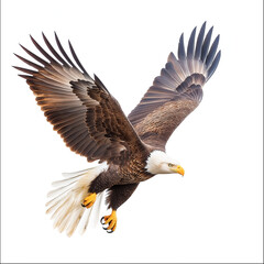 Naklejka premium Bald Eagle Flying Isolated