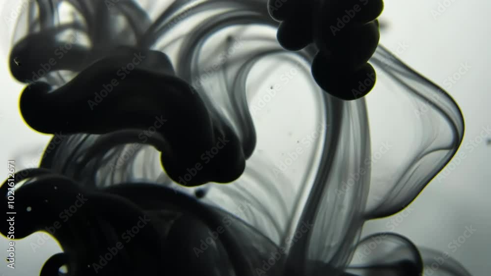 Aufkleber black ink swirls and dances in a clear liquid, creating a mesmerizing abstract pattern