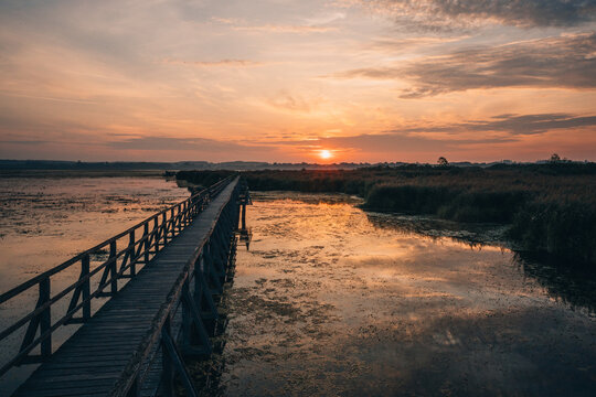 Sonnenaufgang am Federsee in Bad Buchau, Oberschwaben &ndash; goldenes Licht &uuml;ber Wasser und Schilfwiesen. Der Federsee, einer der gr&ouml;&szlig;ten Moorseen S&uuml;ddeutschlands, ist ein wertvolles Naturparadies.