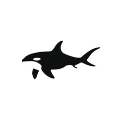Obraz premium A black and white silhouette of an orca or killer whale swimming 