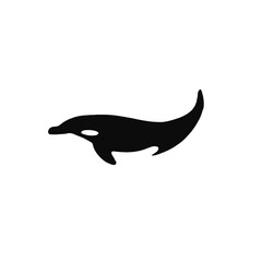 Obraz premium A black and white silhouette of an orca or killer whale swimming 