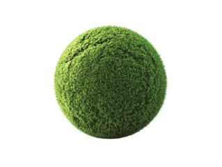 a green ball with grass