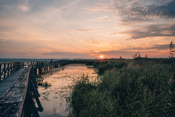 Obraz premium Sonnenaufgang am Federsee in Bad Buchau, Oberschwaben – goldenes Licht über Wasser und Schilfwiesen. Der Federsee, einer der größten Moorseen Süddeutschlands, ist ein wertvolles Naturparadies.