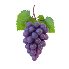 Fototapeta premium grapes bunch isolated on white background. Generative AI