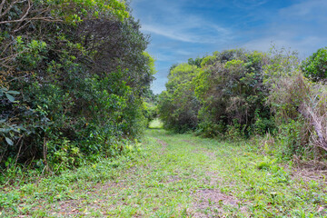 LITORAL DE SANTA CATARINA.