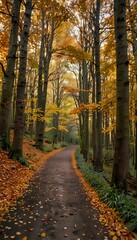Scenic Forest Path Covered in Autumn Leaves: Peaceful Fall Walk Through Nature
