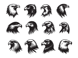 Hawks in Flight Stunning Vector Art Set
Predatory Elegance  A Hawk Illustration Collection