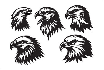 Hawks in Flight Stunning Vector Art Set
Predatory Elegance  A Hawk Illustration Collection