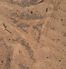 Light brown road surface background 