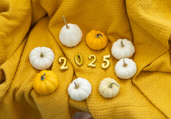 autumn concept, pumpkins on yellow blanket, 2025 year