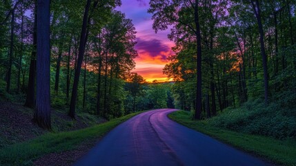 Fototapeta premium A winding road through a forest with a beautiful sunset in the background.