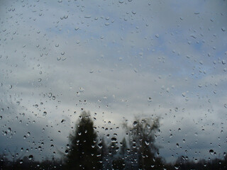 Rainy gray and blue sky, dark trees on horizon and raindrops on window glass during downpour day. Topics: weather, spring, summer, natural environment, season, nature, meteorology