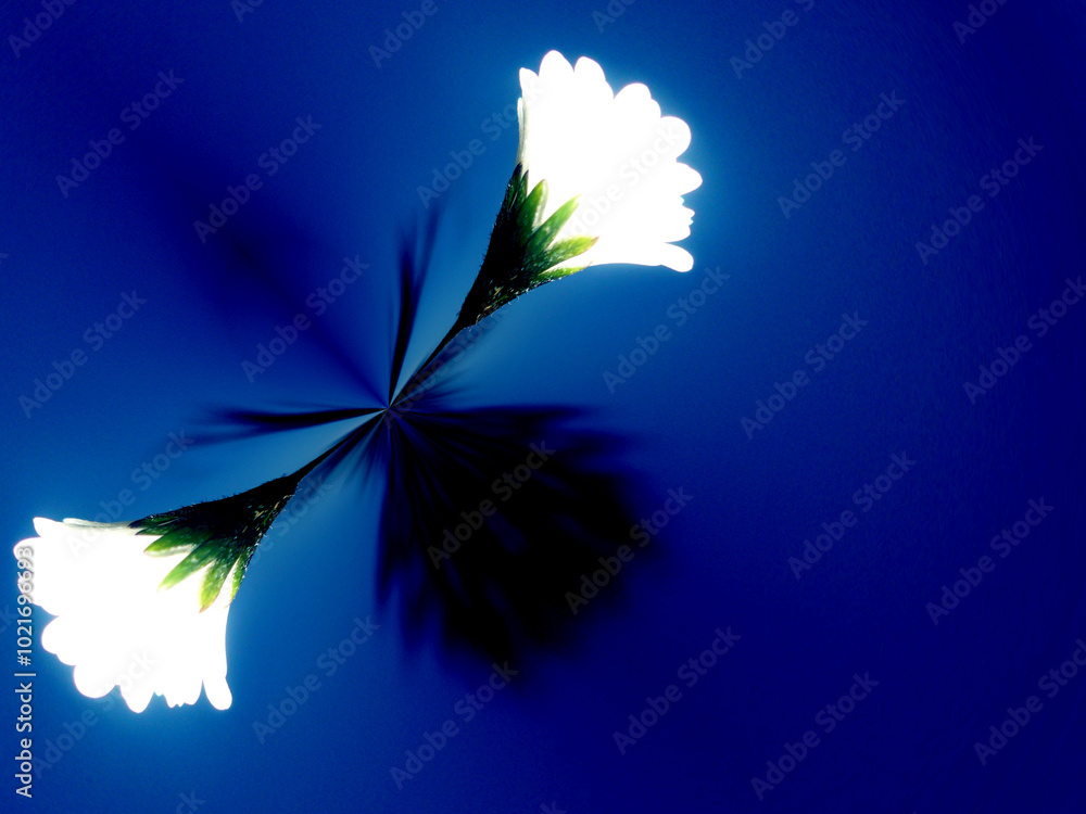 Aufkleber white flowers of daisies on blue background with effect of shadow and light - abstract floral comput