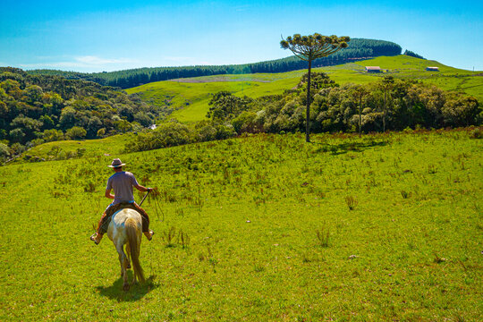Cavalgada nos Campos de Altitude, Aparados da Serra