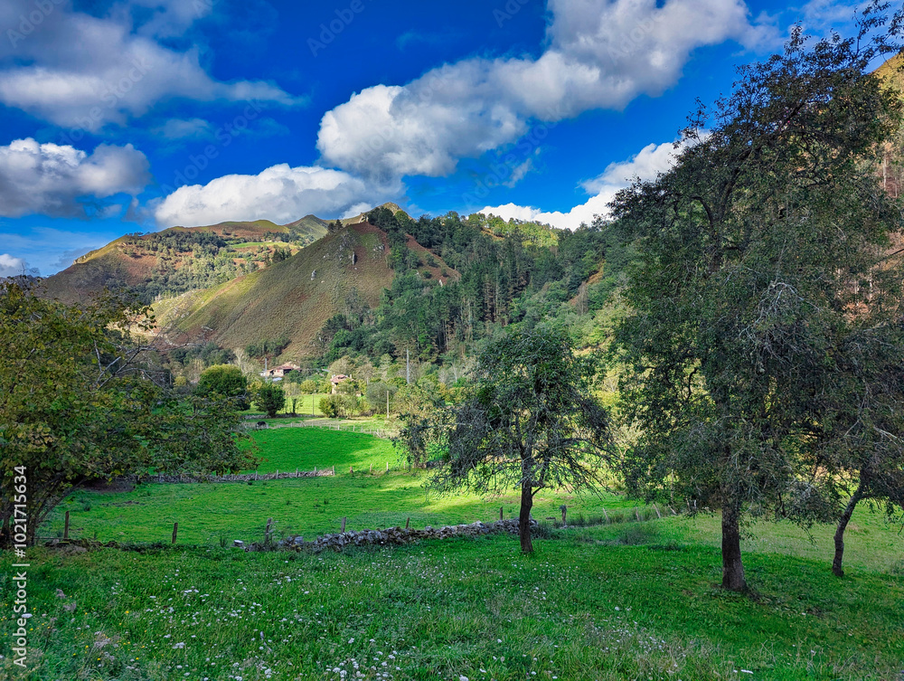 Wall mural mountains and valley around espinareu valley, piloña, asturias, spain