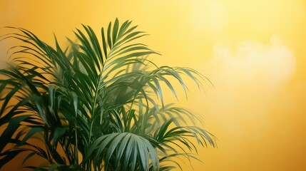 High-resolution image of a green and yellow background with a palm plant in the foreground