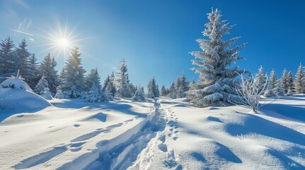 Obraz premium Winter wonderland scene with snowy landscape, bright sun shining over frosted trees, serene path through beautiful white snow, perfect festive greeting backdrop, copy space.