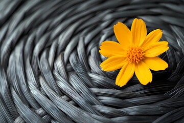 Rattan background with an intricate woven texture, ideal for organic product packaging, interior design, or furniture-themed illustrations.