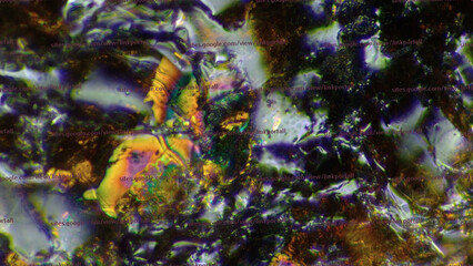 fantastic quantum holograpic 