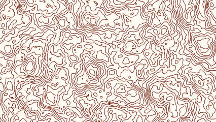 Topographic map background.