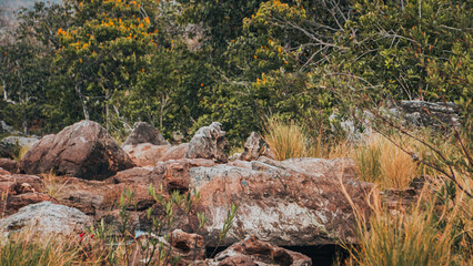 Chapada Veadeiros Cerrado Paisagem Rios Seca Goiás Brasil Ecoturismo Natureza Trilha Montanhas...