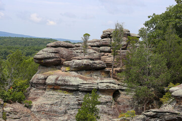 stone wall in the forest