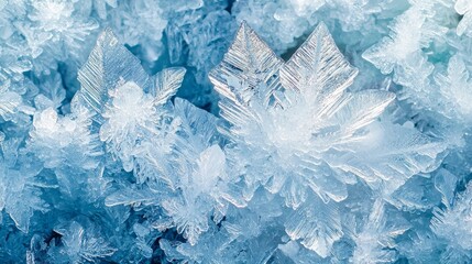 Macro Shot of Frost Crystals Forming Intricate Patterns for Winter Backgrounds Generative AI
