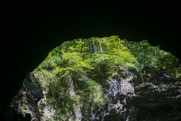 Cave Exit