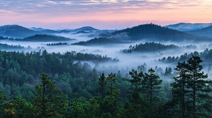 Misty Forest Landscape at Dawn, Perfect for Nature and Environment Concepts Generative AI