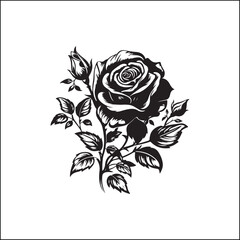 black and white roses,flower, floral, rose, vector, vintage, pattern, illustration, leaf, design, nature, decoration, flowers, plant, drawing, art, ornament, seamless, sketch, wedding, element, roses,