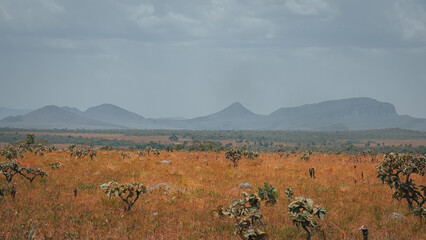 Chapada Veadeiros Cerrado Paisagem Rios Seca Goiás Brasil Ecoturismo Natureza Trilha Montanhas...