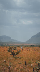 Chapada Veadeiros Cerrado Paisagem Rios Seca Goiás Brasil Ecoturismo Natureza Trilha Montanhas...