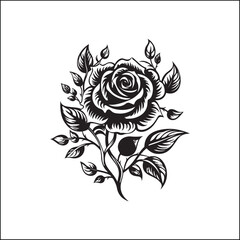 black and white roses,flower, floral, rose, vector, vintage, pattern, illustration, leaf, design, nature, decoration, flowers, plant, drawing, art, ornament, seamless, sketch, wedding, element, roses,