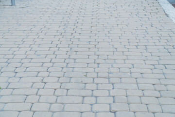 Cobblestone Pathway in Soft Natural Light