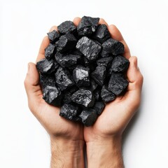 Hands are cradling a mixture of black coal pieces, showcasing their texture and color in natural light